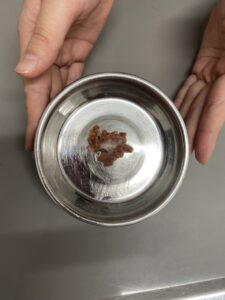 ご飯に混ぜて薬を与える01